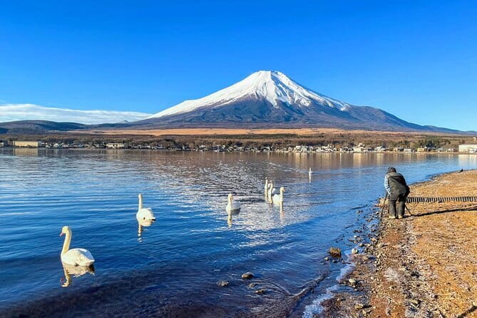 Full Day Tour at Mt. Fuji, Onsen, Lake Kawaguchi and Yamanaka - Mt. Fuji’s 5th Station: A High Mountain Stop