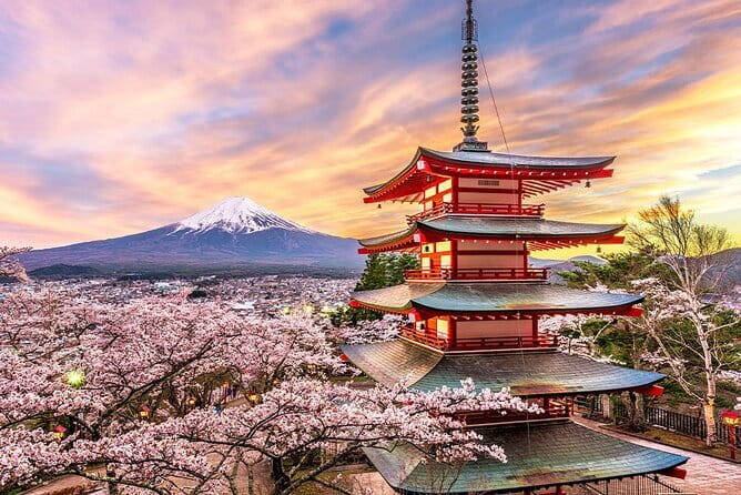 Full Day Tour at Mt. Fuji, Onsen, Lake Kawaguchi and Yamanaka - Crowds, Delays, and the Cost of Convenience