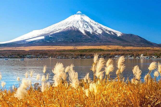 Full Day Tour at Mt. Fuji, Onsen, Lake Kawaguchi and Yamanaka - The Long Drive From Tokyo