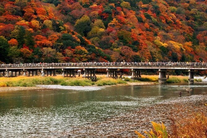 Full Day Tour of Kyoto with Private Transportation - Fushimi Inari’s red torii gates