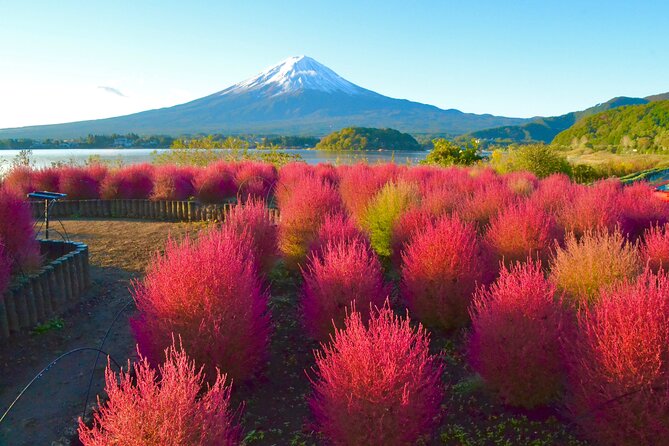 Full Day Tour to Mount Fuji in Spanish - Kawaguchiko and the tour’s less obvious viewpoints