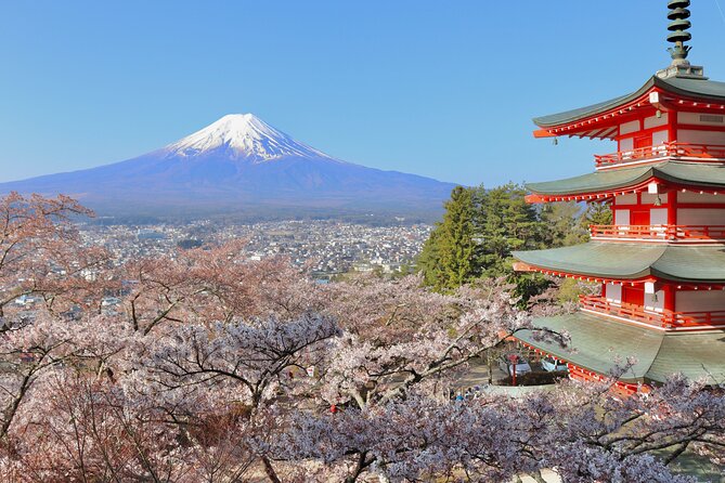 Full Day Tour to Mount Fuji in Spanish - Aokigahara Forest, with a serious note