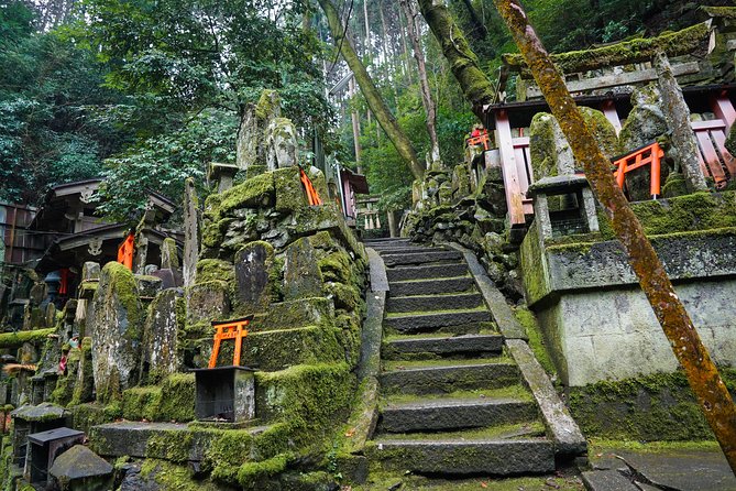 Fushimi Inari Hidden Hiking Tour (Private Option Available) - The value of a $63.14 small-group tour