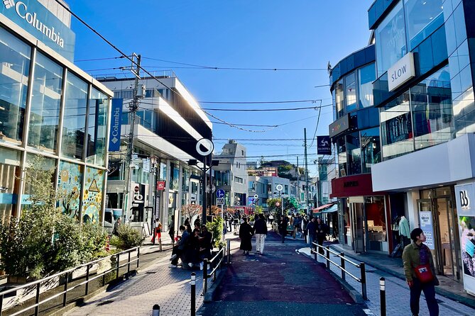 Get Unique Insights into Tokyo - Private Tour with local Guide - Shibuya Crossing and the Hachiko area