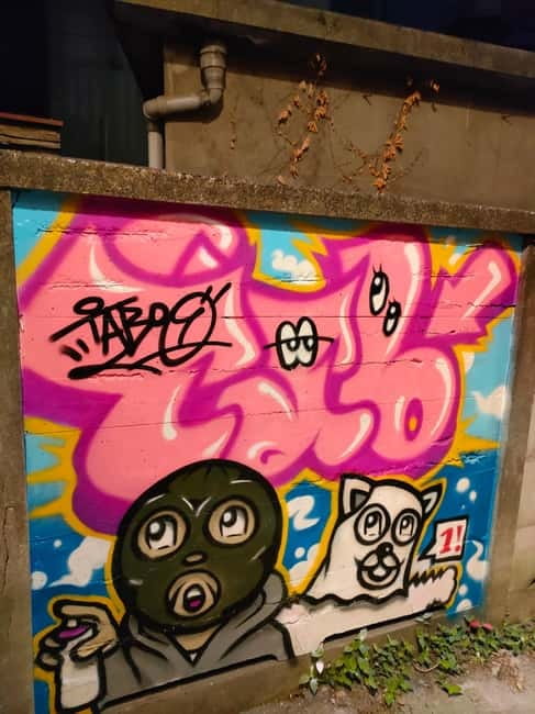 Graffiti in Tokyo Walking Tour: Shibuya and Harajuku - What Elena adds to the experience
