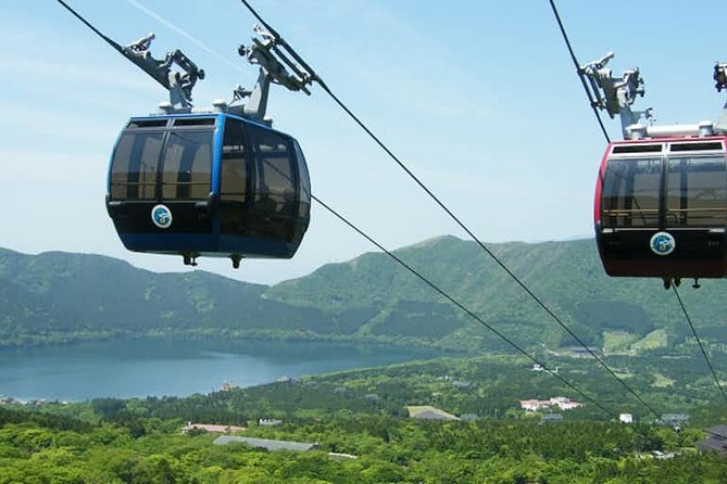 Hakone 8 hour Private Tour with Government-Licensed Guide - Choosing your four or five stops