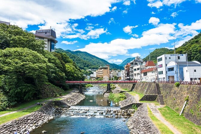 Hakone 8 hour Private Tour with Government-Licensed Guide - Temples, gardens, and the quieter side of Hakone
