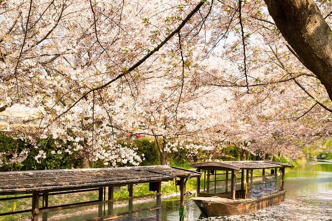 Hakone and Mt. Fuji Day Trip with Private Vehicle - What the private driver service really delivers