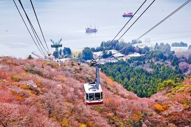 Hakone and Mt Fuji Private Custom Tour with English Guide - Traditional Fuji country at Lake Saiko