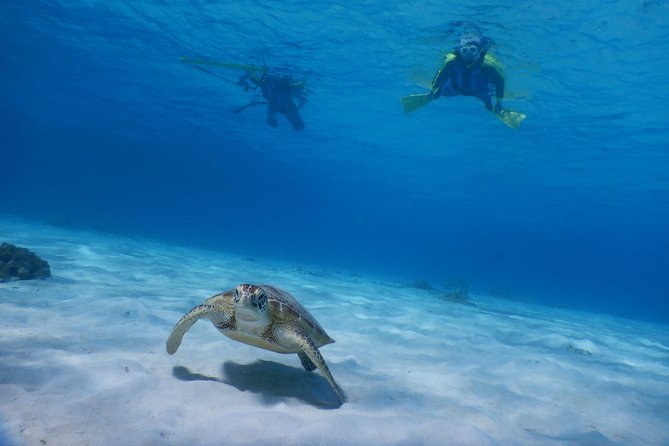 Half-day kayak tour on the Kerama Islands and Zamami Island - A half-day on Zamami Island’s blue water