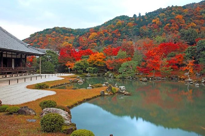 Half Day Kyoto Sagano Bamboo Grove & Arashiyama Walking Tour - Walking through the Sagano Bamboo Grove
