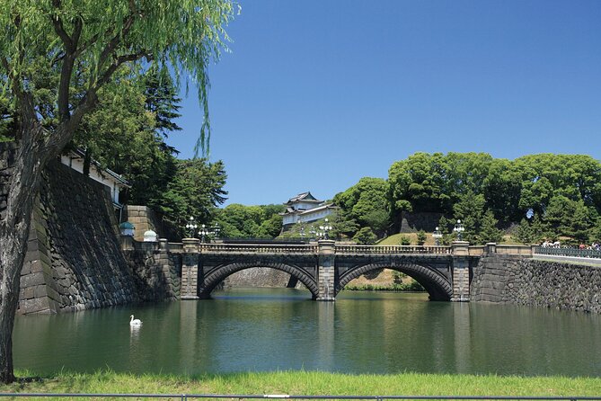 Half-day Tokyo Afternoon Tour by Hato Bus - The guide is the tour’s best value