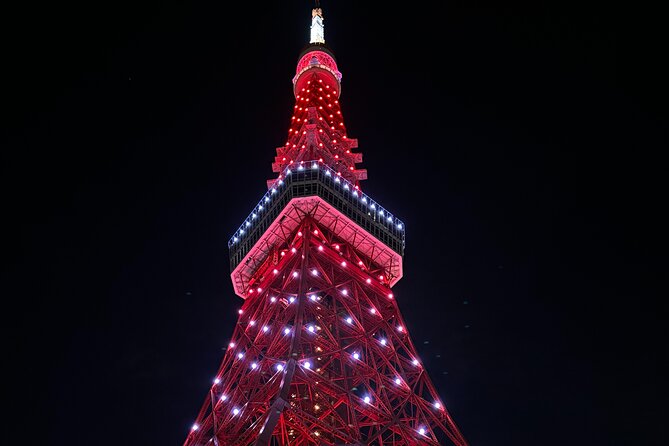Haneda Airport Private Transfer – Luxury Car & Meet & Greet - What the strongest service moments look like