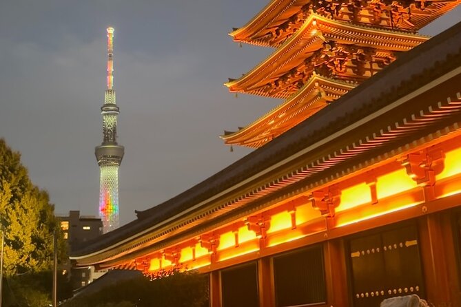 Haneda Airport Private Transfer – Luxury Car & Meet & Greet - The problems you should take seriously