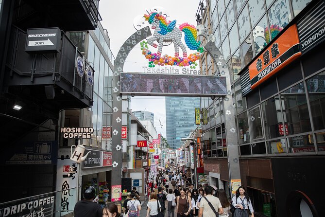 Harajuku Meiji Shrine Walking Tour in Tokyo - What the guides add to the walk