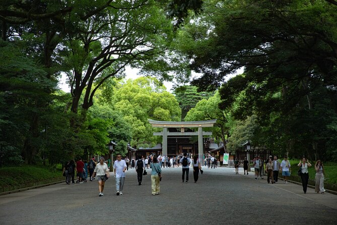Harajuku Meiji Shrine Walking Tour in Tokyo - Timing, meeting point, and walking effort