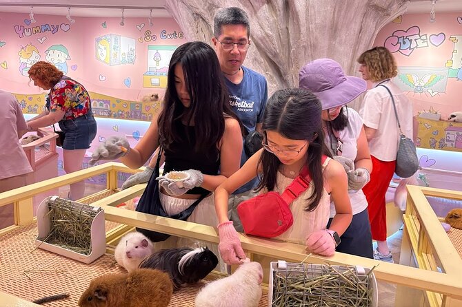 Harajuku Private Tour: Kawaii Fashion & Animal Cafe Included - Stickers, toys, and the pop culture side of Harajuku
