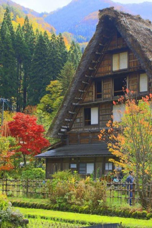 Hida Takayama, Shirakawa-go+Observatory|Day Trip from Nagoya - Shirakawa-go and its steep thatched roofs