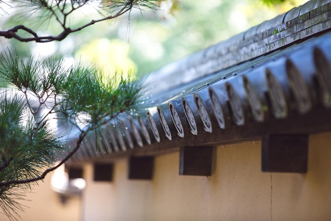 Hidden Kyoto E-Biking tour - Starting at NORU and settling into the route