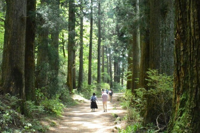 Hike Hakone Hachiri - Amazake Chaya and the Yamamoto family