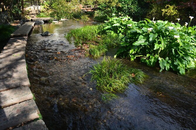 Hike Hakone Hachiri - Yamanaka Castle Ruins and the Mt Fuji gamble