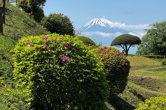 Hike Japan Heritage Hakone Hachiri with certified mountain guide - Hakone Checkpoint and lunch near Hakone-machi