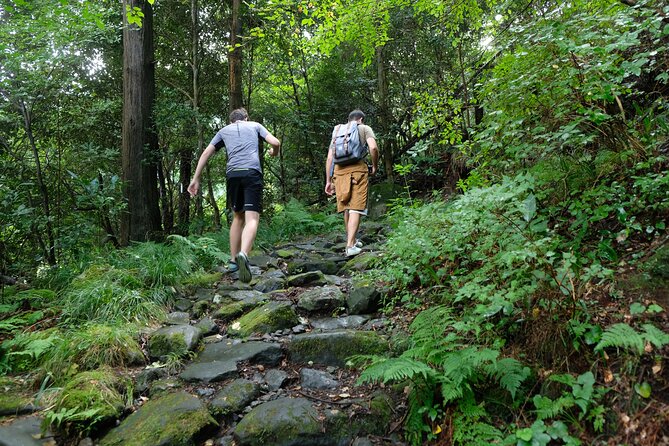 Hike Japan Heritage Hakone Hachiri with certified mountain guide - Yamanaka Castle Ruins and wide mountain views