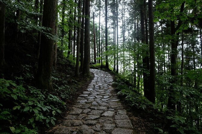Hiking the Historic Nakasendo Trail [1 Day Tour from Nagoya] - Why the Nakasendo Trail makes a fine change from Nagoya