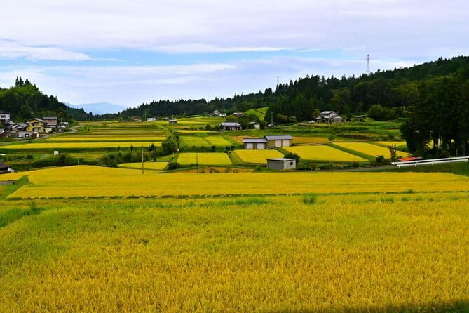 Hiking the Historic Nakasendo Trail [1 Day Tour from Nagoya] - Starting at Nagoya Station at 9:30
