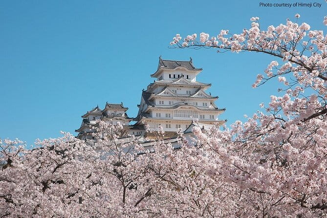 Himeji Castle and Akashi Kaikyo Bridge Walking Tour from Osaka - Should You Book the Himeji and Akashi Tour?