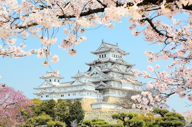 Himeji Half-Day Private Tour with Government-Licensed Guide - Mount Shosha and Engyo-ji: the atmospheric choice