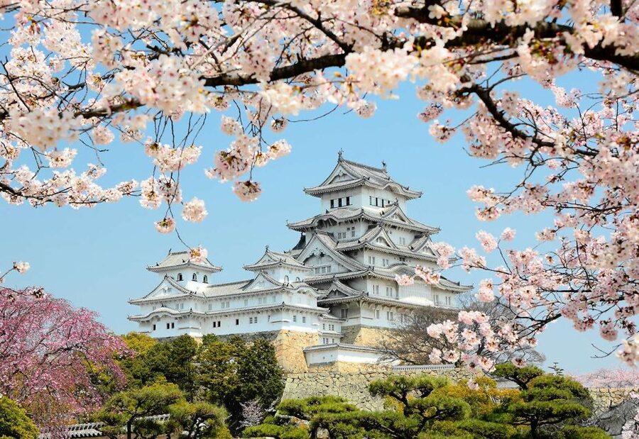 Himeji: Private Customized Tour with Licensed Guide - Himeji Castle, From White Walls to Working Defenses