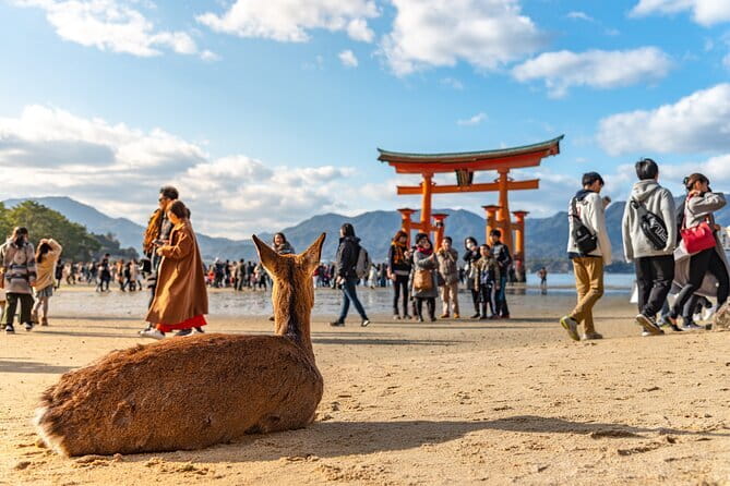 Hiroshima and Miyajima Day Trip with Itsukushima Shrine & Ferry - Key Points Before You Book