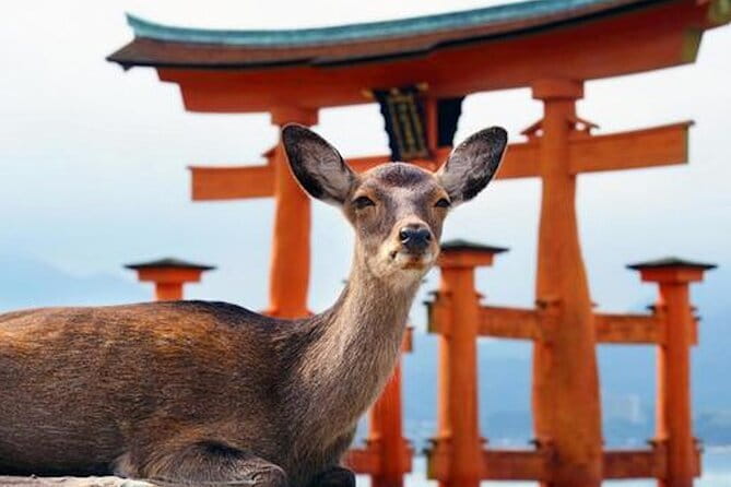 Hiroshima and Miyajima Private Custom Tour with Local Guide - Key Points Before You Book