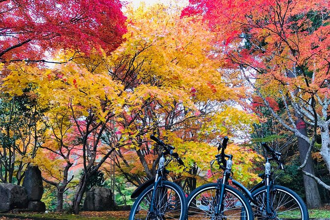Hiroshima Country Cycling: Explore Rural Life 1 HR from City - Why Rural Oasa Is Worth the Bus Ride