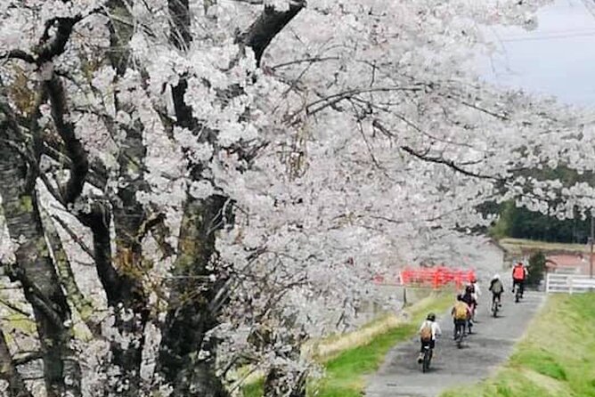 Hiroshima Country Cycling: Explore Rural Life 1 HR from City - The Real Cost Is More Than $85.39