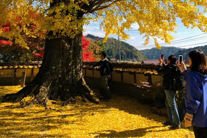 Hiroshima Country Cycling: Explore Rural Life 1 HR from City - Getting There Requires Careful Timing