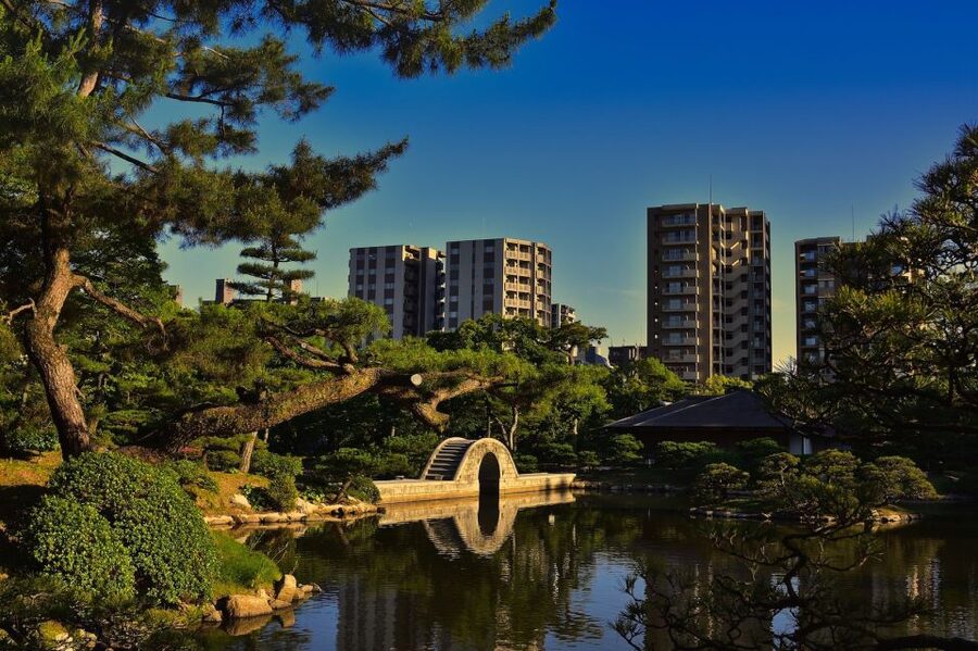 Hiroshima: Hidden Gems and Highlights Private Walking Tour - Hiroshima Castle and the city beyond the memorial district