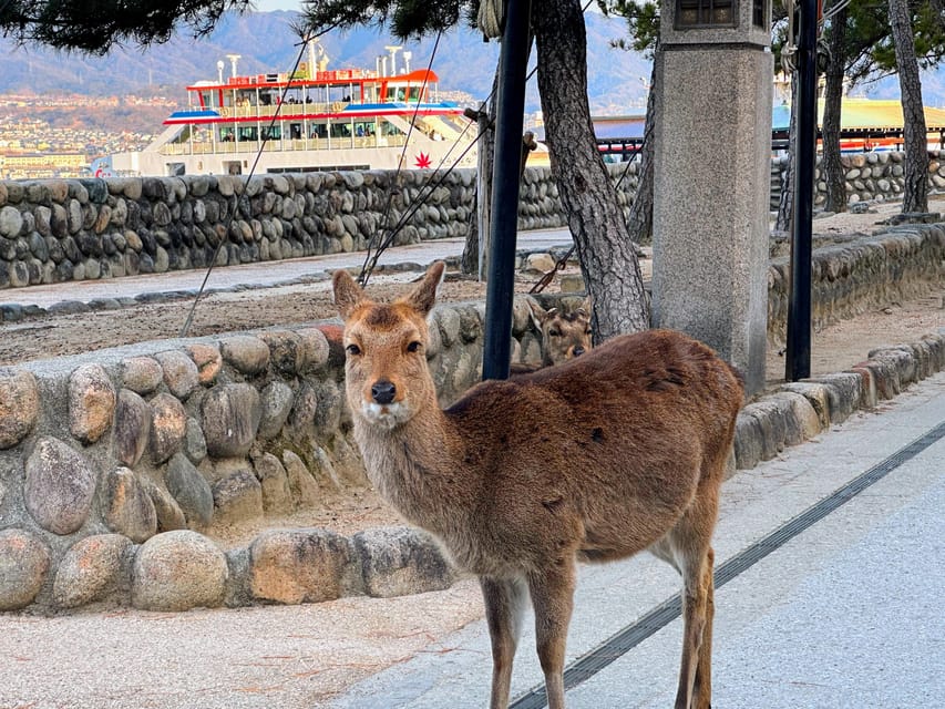 Hiroshima: Hiroshima and Miyajima UNESCO Sites 1-Day Tour - Crossing the Seto Inland Sea by ferry