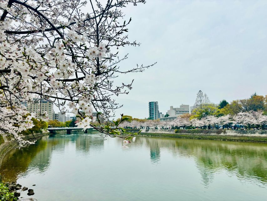 Hiroshima: History of Hiroshima Group Walking Tour - The Atomic Bomb Memorial Burial Mound