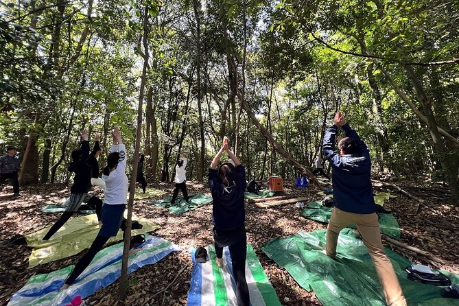 Hiroshima Local guided Hiking Tour&Open-air Tea Ceremony - Why Mt. Futaba adds something different to Hiroshima
