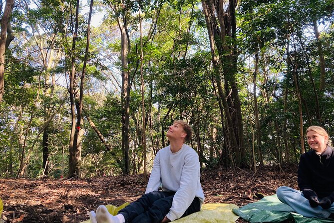 Hiroshima Local guided Hiking Tour&Open-air Tea Ceremony - Forest bathing and a slower pace
