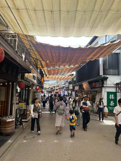 Hiroshima & Miyajima 6.5h Guided Tour – Dome, Park & Shrine - Forty minutes through Peace Memorial Park