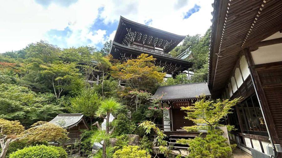 Hiroshima & Miyajima 6.5h Guided Tour – Dome, Park & Shrine - Who will get the most from this tour
