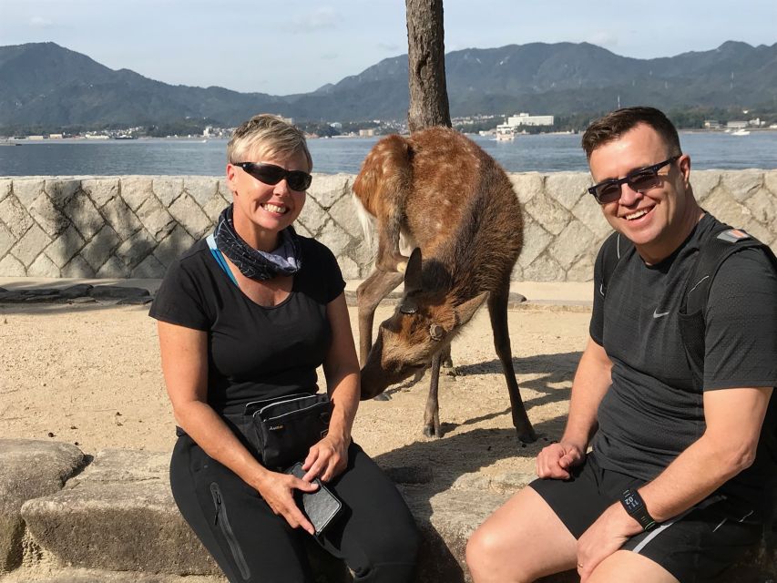 Hiroshima & Miyajima: Full-Day Private Tour & Licensed Guide - How much value do you get for $196?