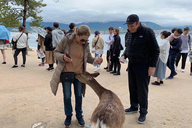 Hiroshima / Miyajima Full-day Private Tour with Government Licensed Guide - Shukkeien Garden, about 90 minutes