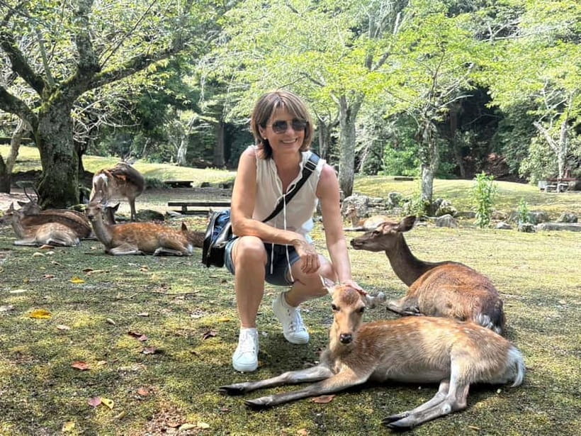 Hiroshima: Miyajima Island Half-Day Tour with Guide - Why a half-day works well on Miyajima