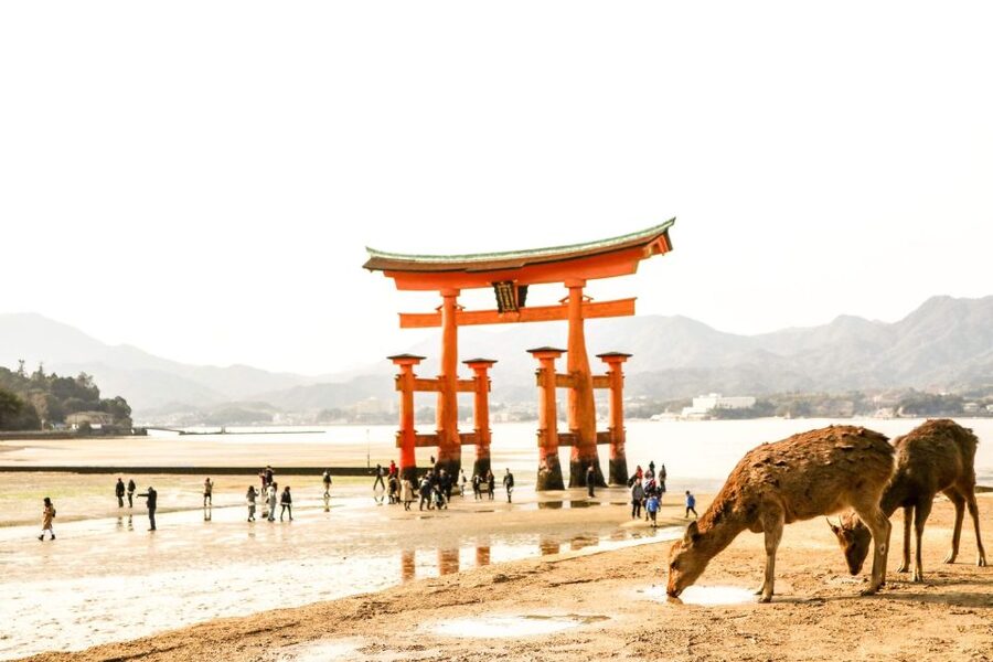 Hiroshima: Miyajima Peace Memorial Icons of Peace and Beauty - Public transport and the ferry to Miyajima