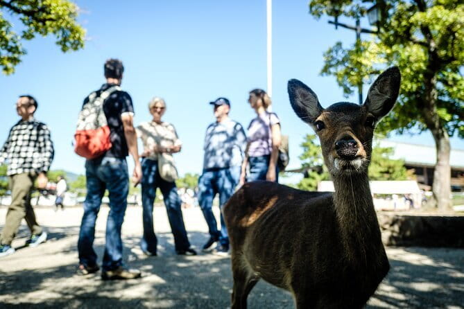 Hiroshima & Miyajima: Private Full-Day Tour with a Local Guide - Peace Memorial Park and the A-Bomb Dome
