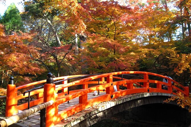 Historical Kyoto E-Bike Tour - The ride across Kyoto’s everyday streets